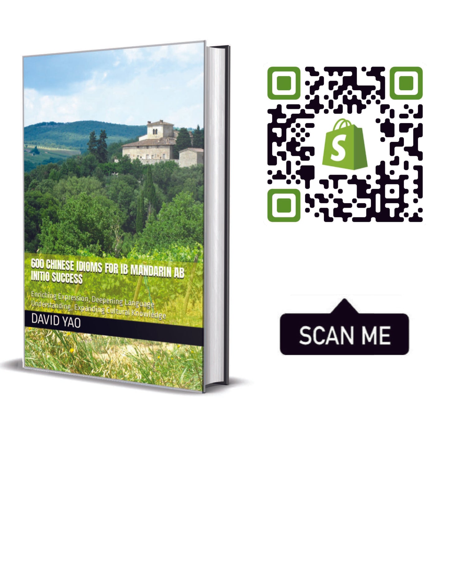 600 Chinese Idioms for IB Mandarin ab initio Success 解码成语,点亮IB中文考试成功之路