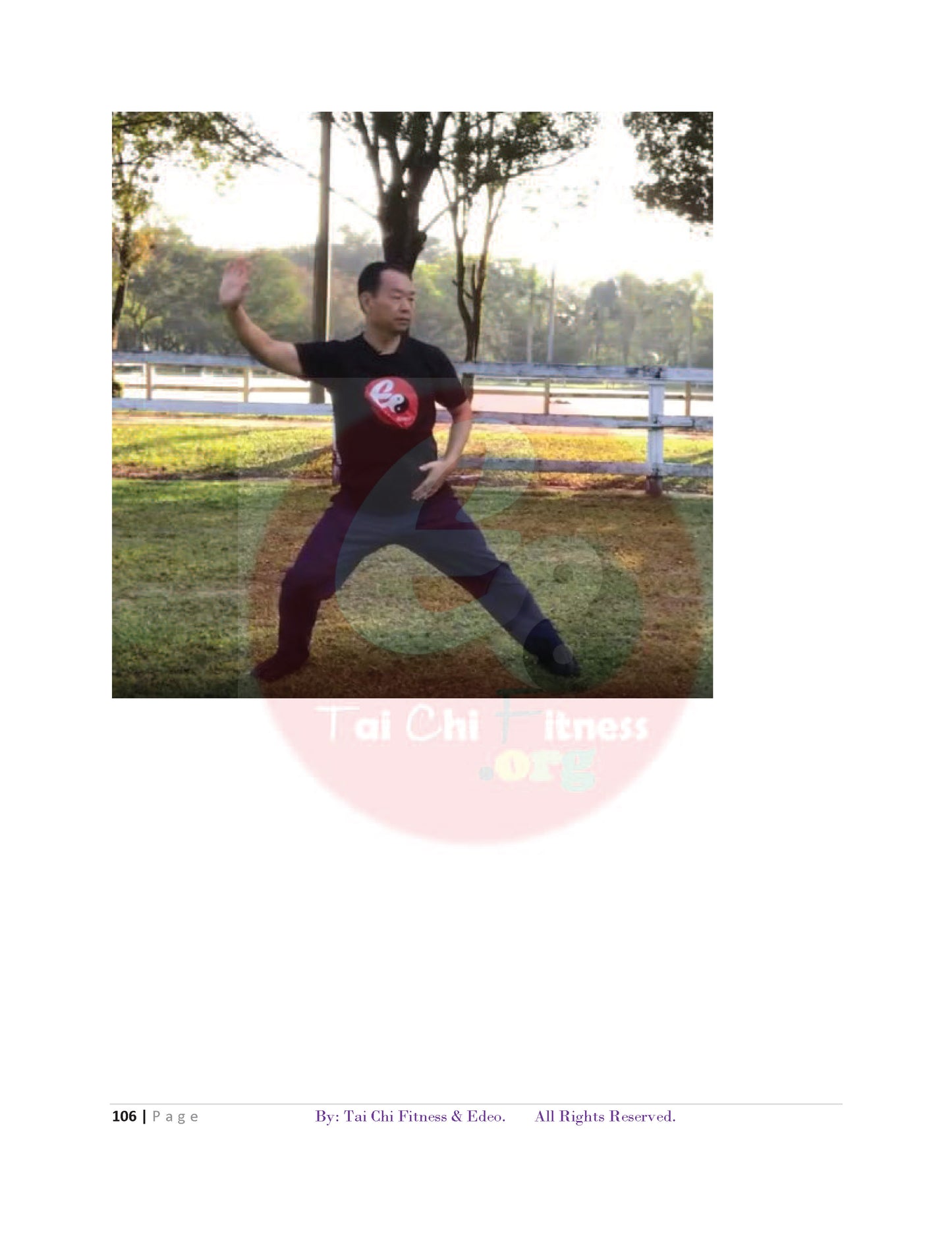 Tai Chi for Better Balance and Preventing Falls (PDF Book)