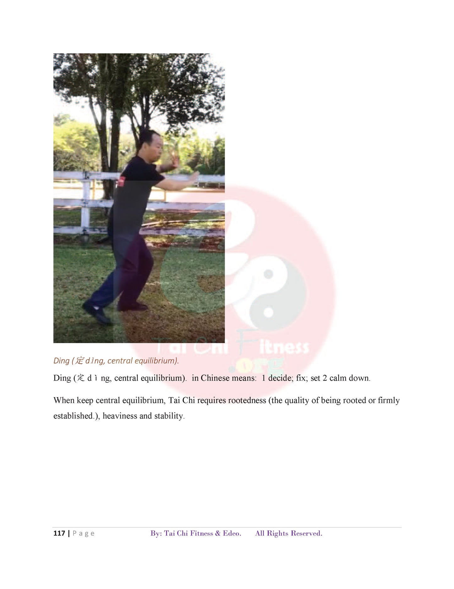 Tai Chi for Better Balance and Preventing Falls (PDF Book)