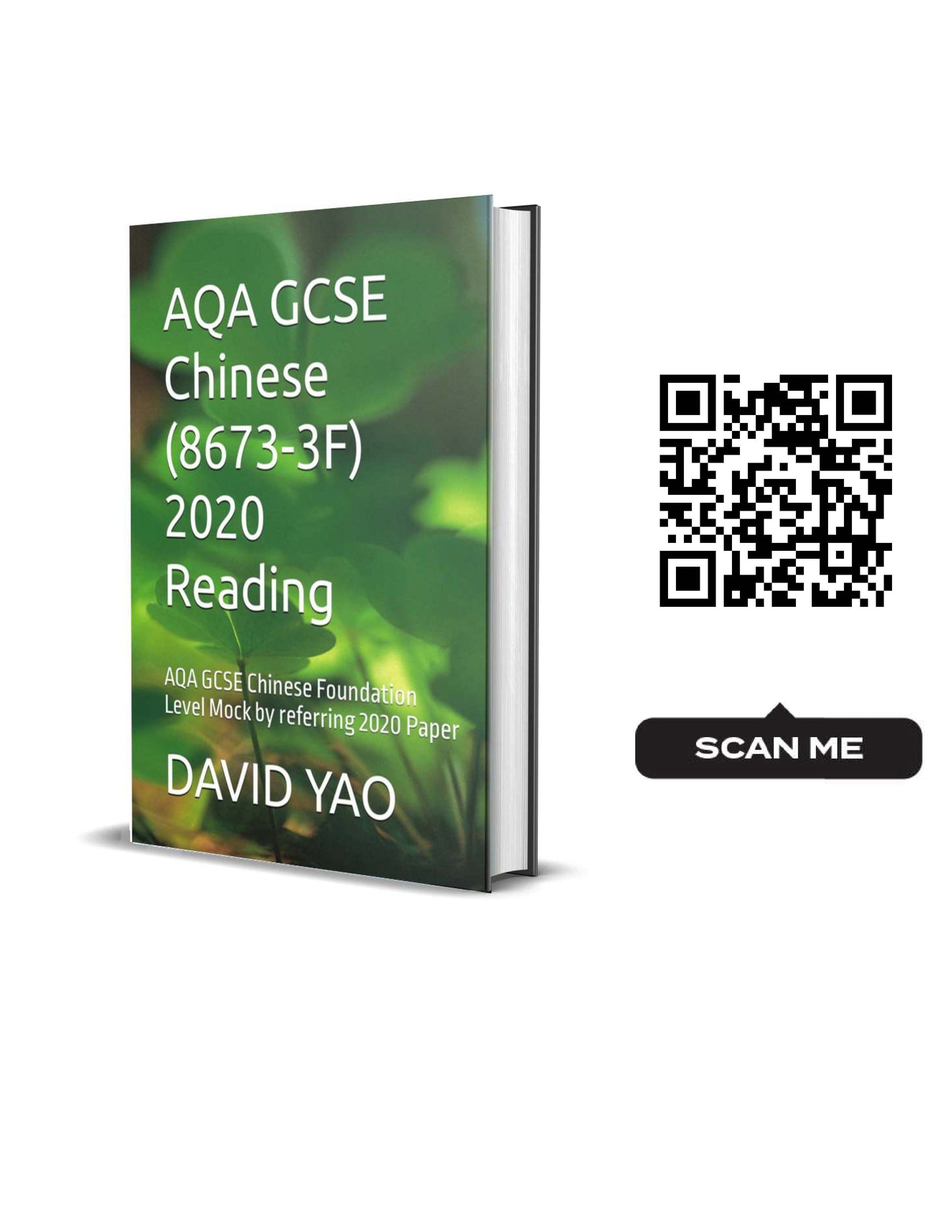 AQA GCSE Chinese (8673-3F) 2020 Reading