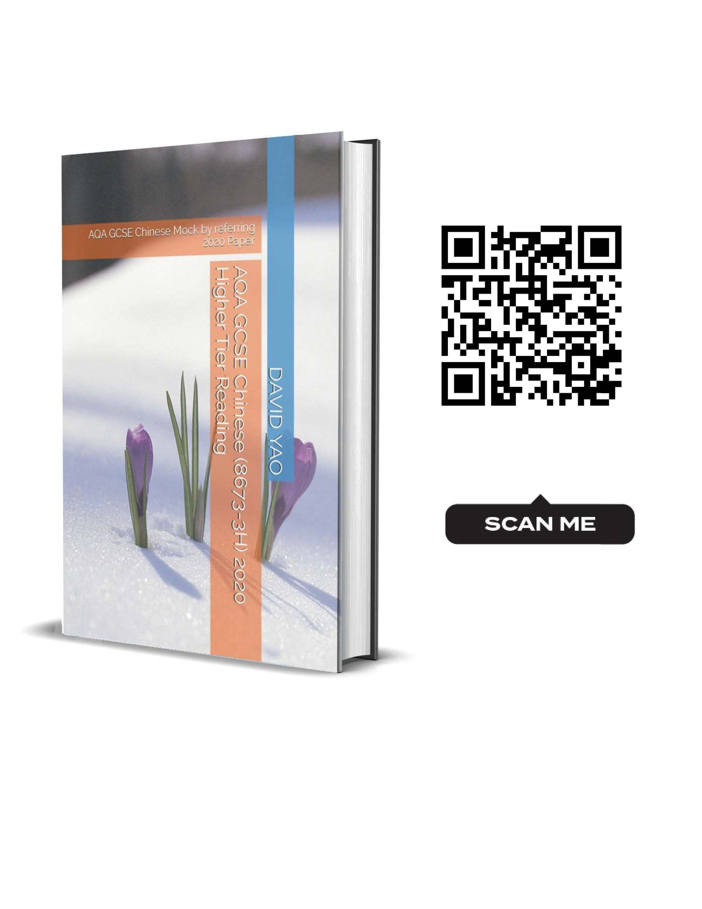 AQA GCSE Chinese (8673-3H) 2020 Higher Tier Reading