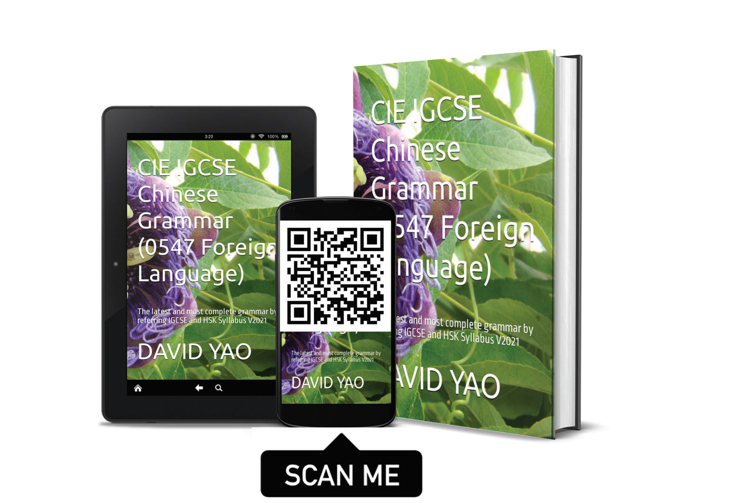CIE IGCSE Chinese Grammar (0547 Foreign Language) V2021