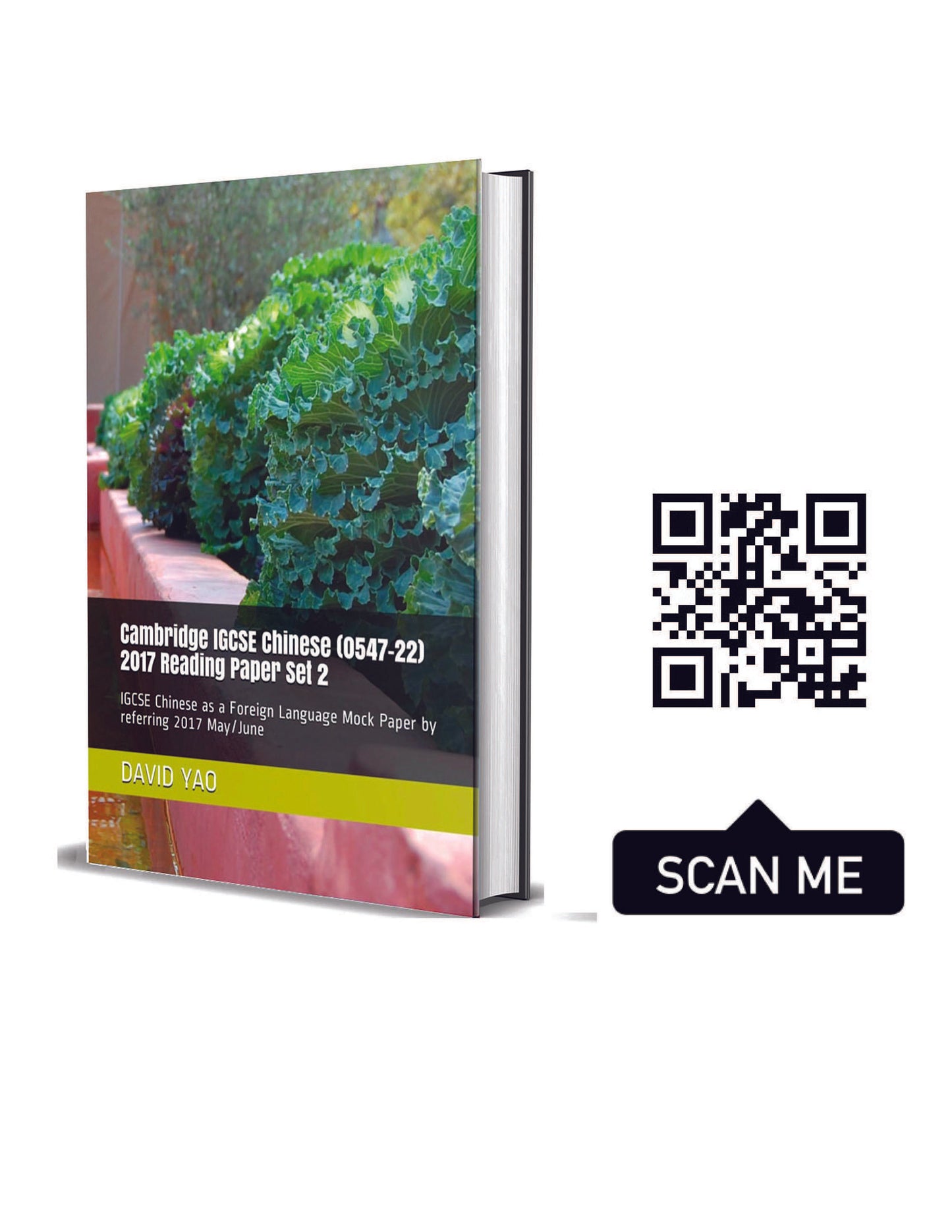 Cambridge IGCSE Chinese (0547-22) 2017 Reading Paper Set 2 剑桥中学会考中文阅读理解真题解析