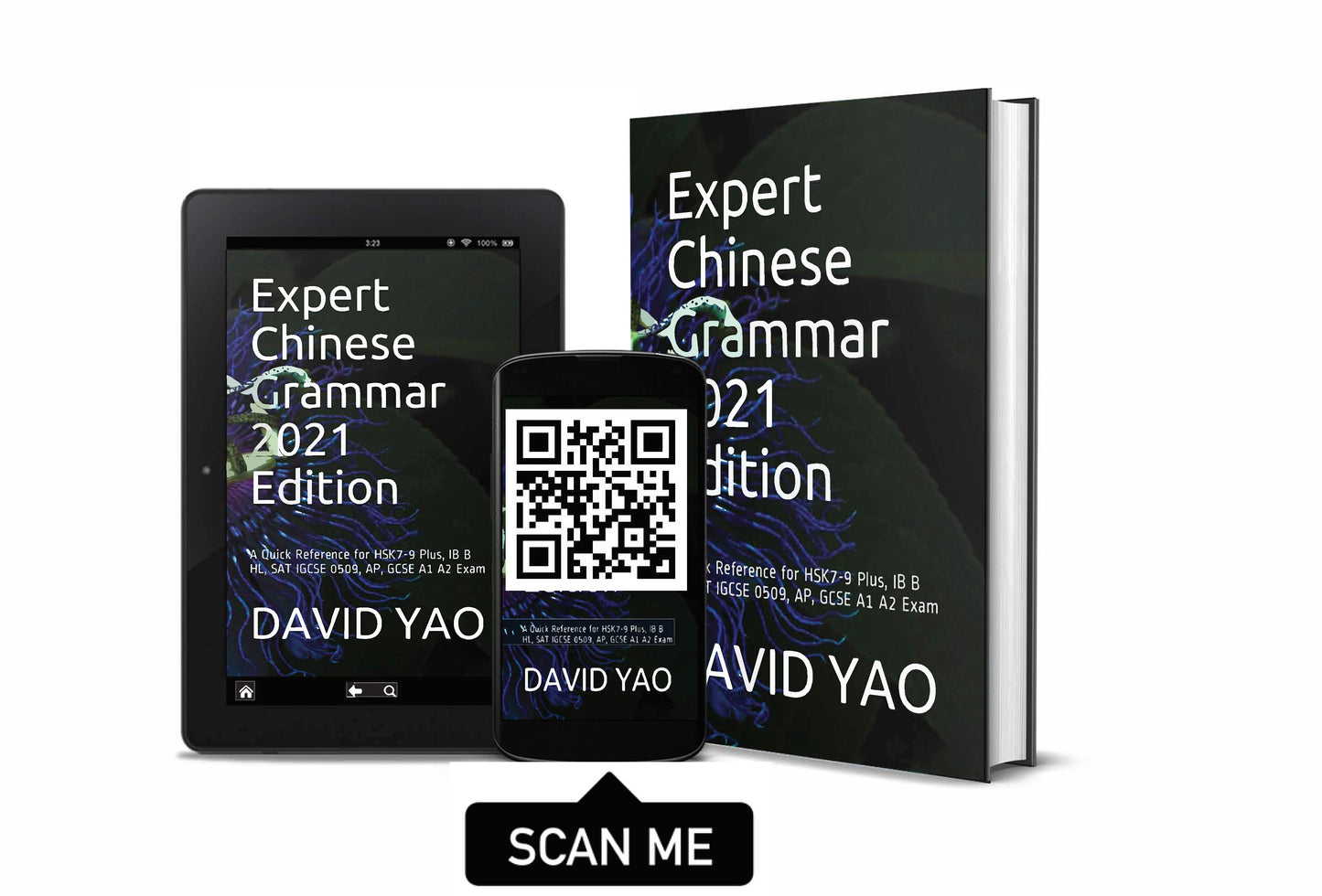 Expert Chinese Grammar 2021 Edition 汉语水平考试大师级语法