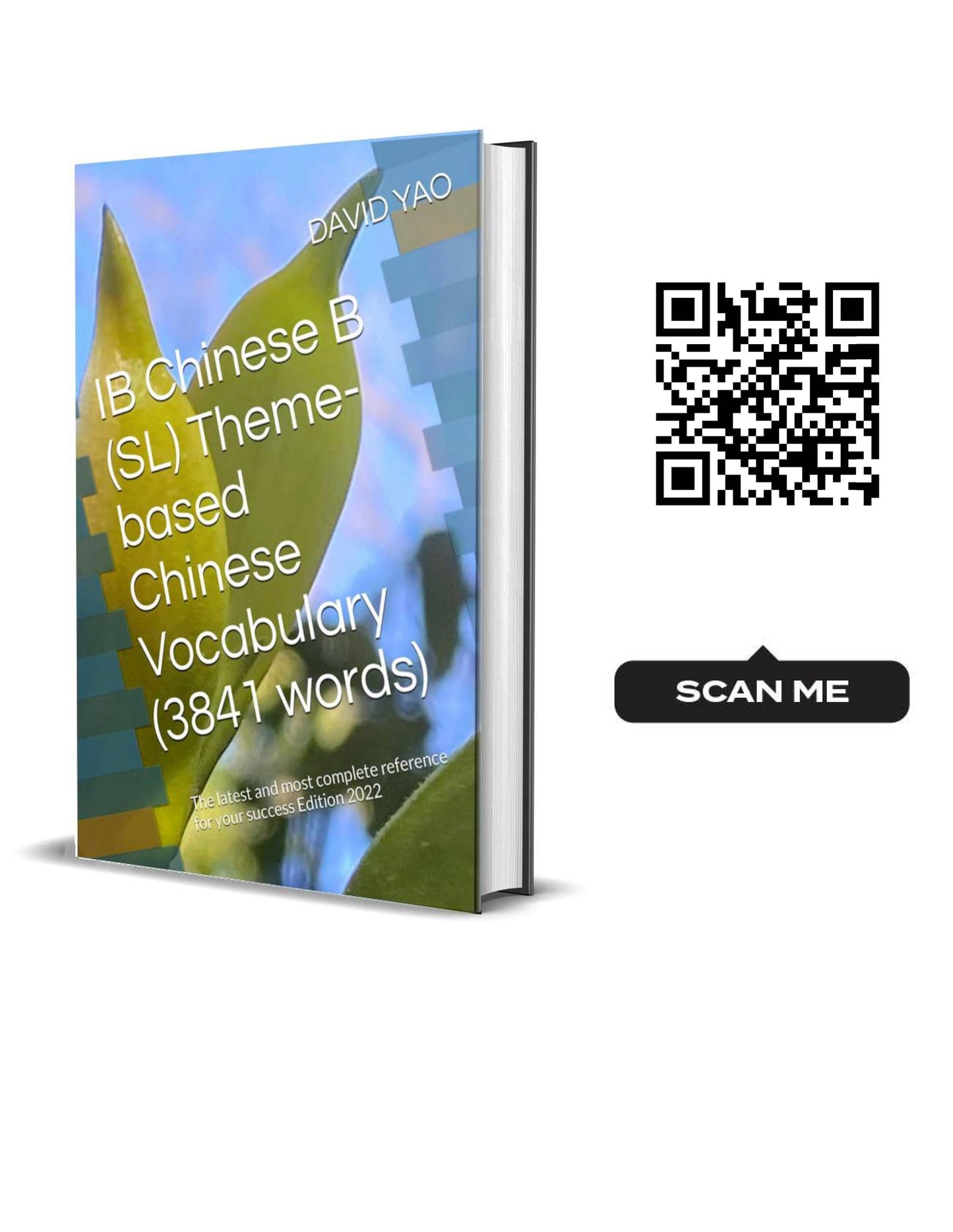 IB Chinese B (SL) Theme-based Chinese Vocabulary (3841 words)