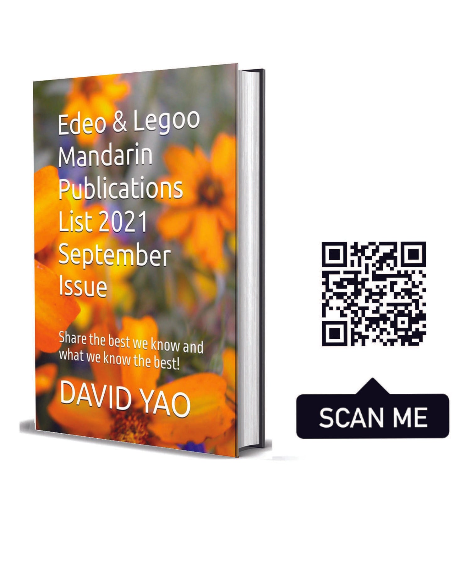 IB Mandarin Chinese B (Ab Initio) Vocabulary 2022 Edition