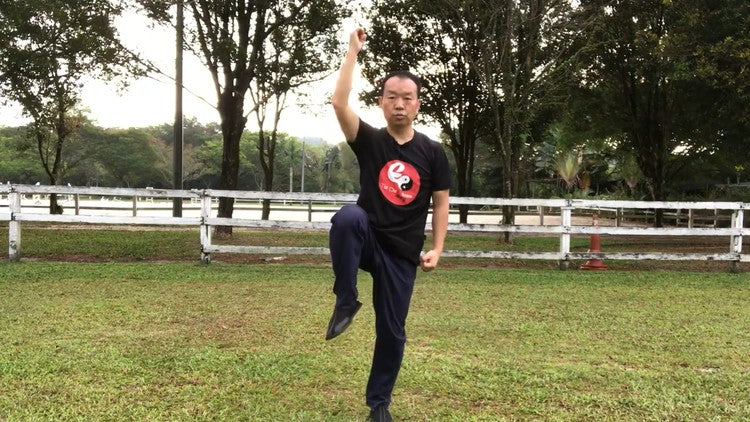 Tai Chi for Balance and Beyond-A Low-Impact Exercise for Improving Fitness and Preventing Falls