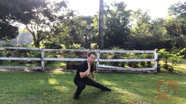 Chen Tai Chi Xin Jia 1 陈氏太极拳新架一路