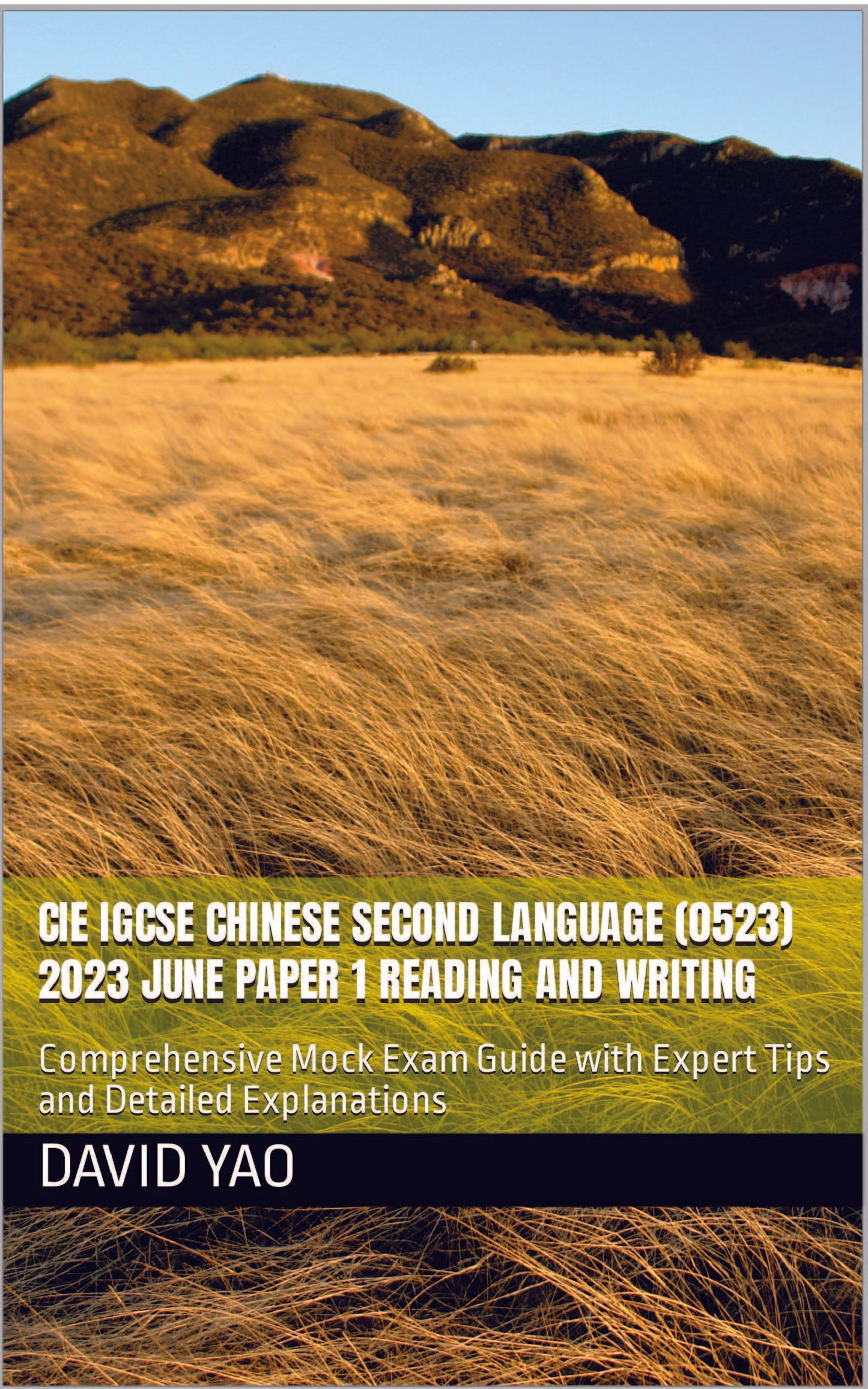 CIE IGCSE Chinese Second Language 0523 2023 Paper 1