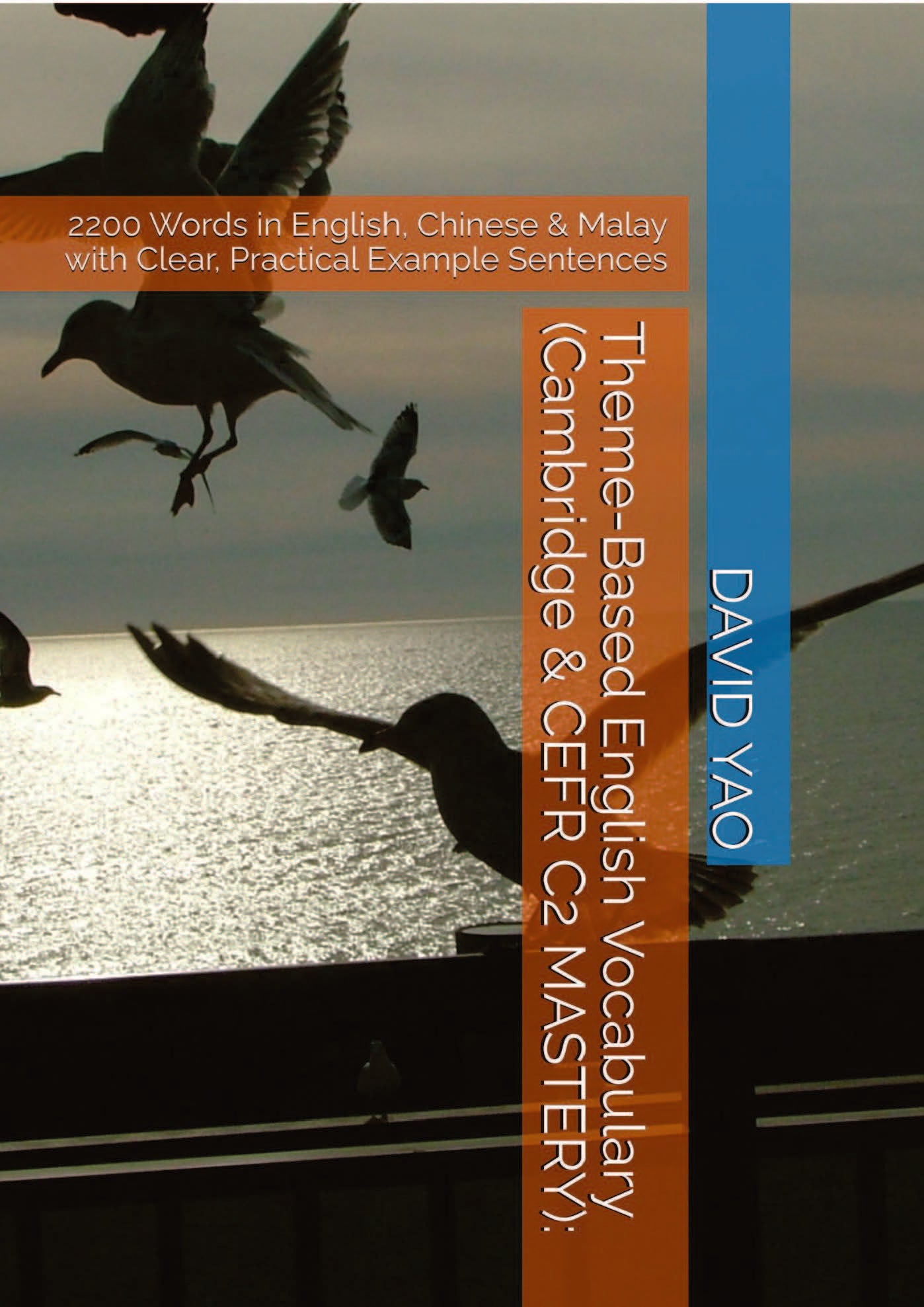 Theme-Based English Vocabulary, Cambridge C2 MASTERY, CEFR C2 – 1Salesforce