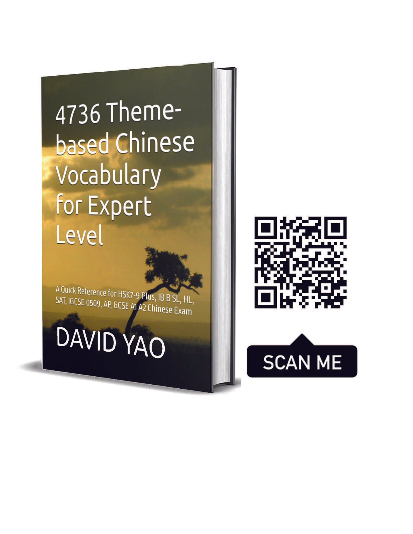 4736 Theme-based Chinese Vocabulary for Expert Level