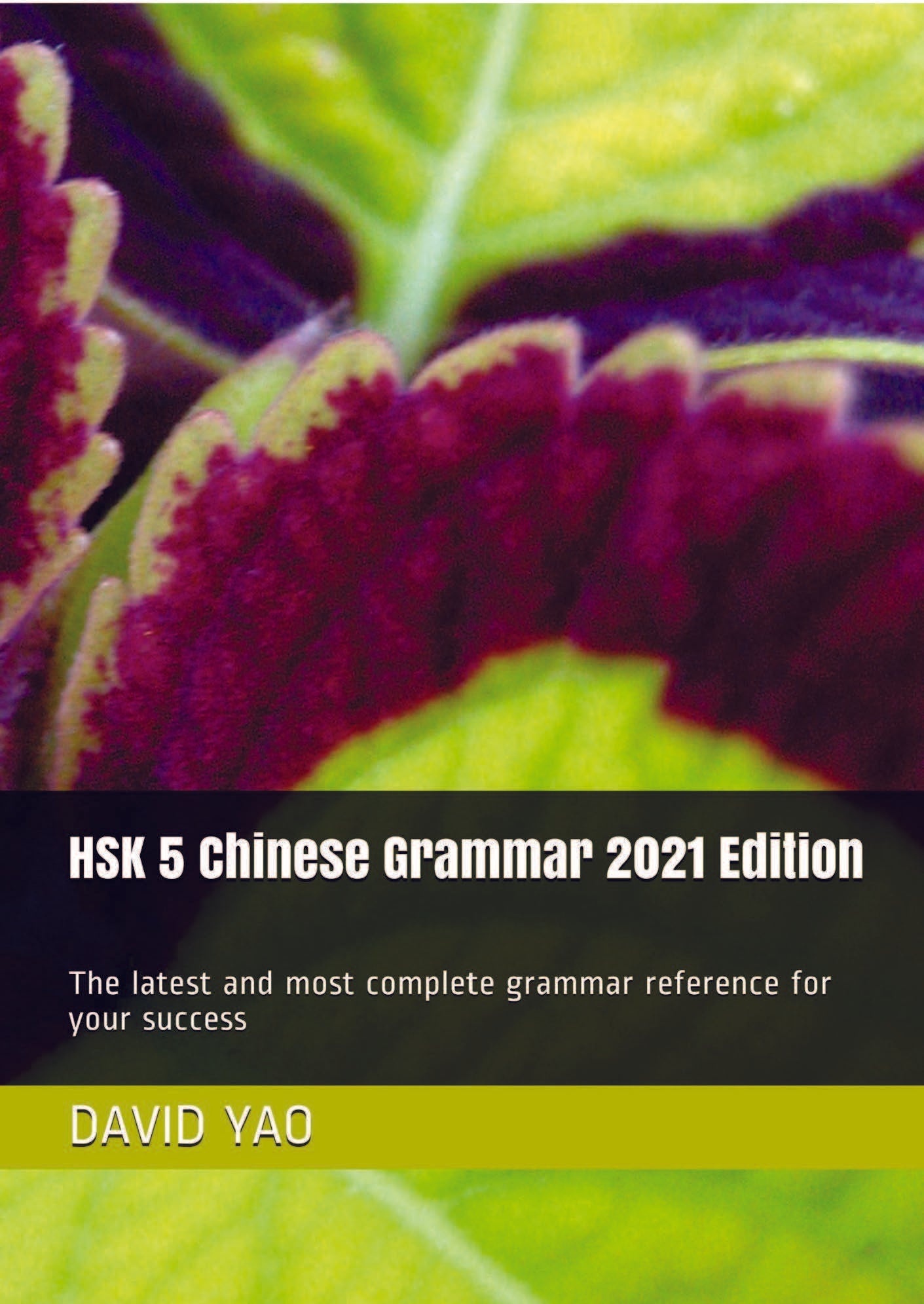 HSK 5 Chinese Grammar