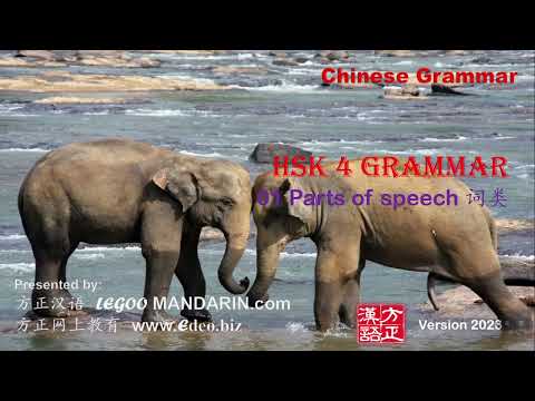 HSK 4 Chinese Grammar Made Easy (Video Course)